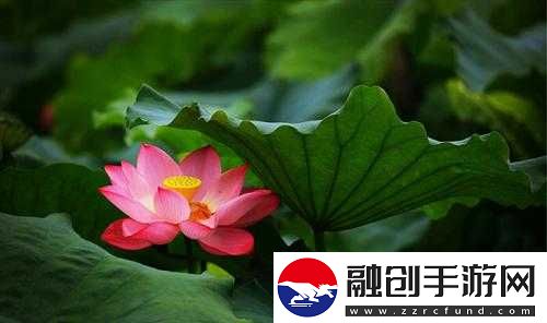 女性半夜蓮花開(kāi)放的治療方法