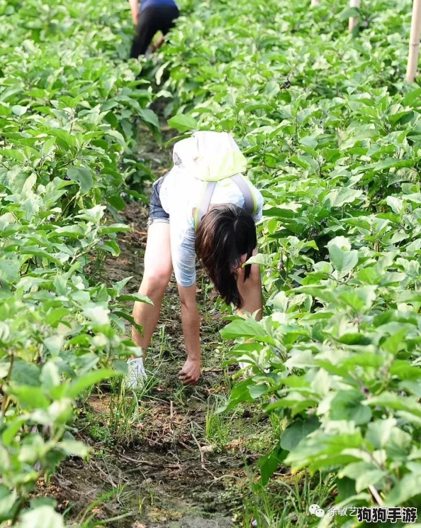 嫩葉草m碼與歐洲碼在穿著舒適度上的區(qū)別詳解