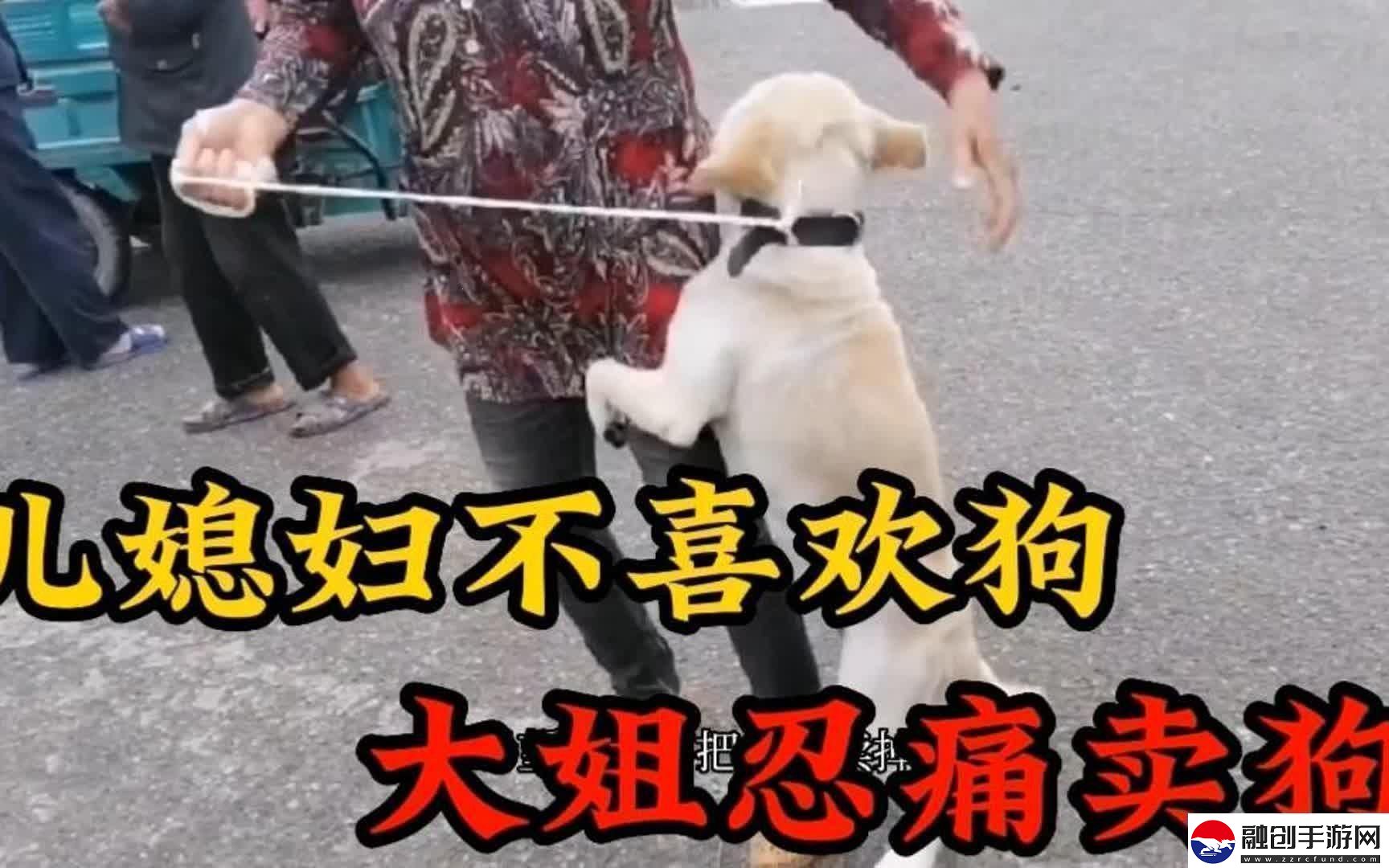 婆婆的犬吠抗議